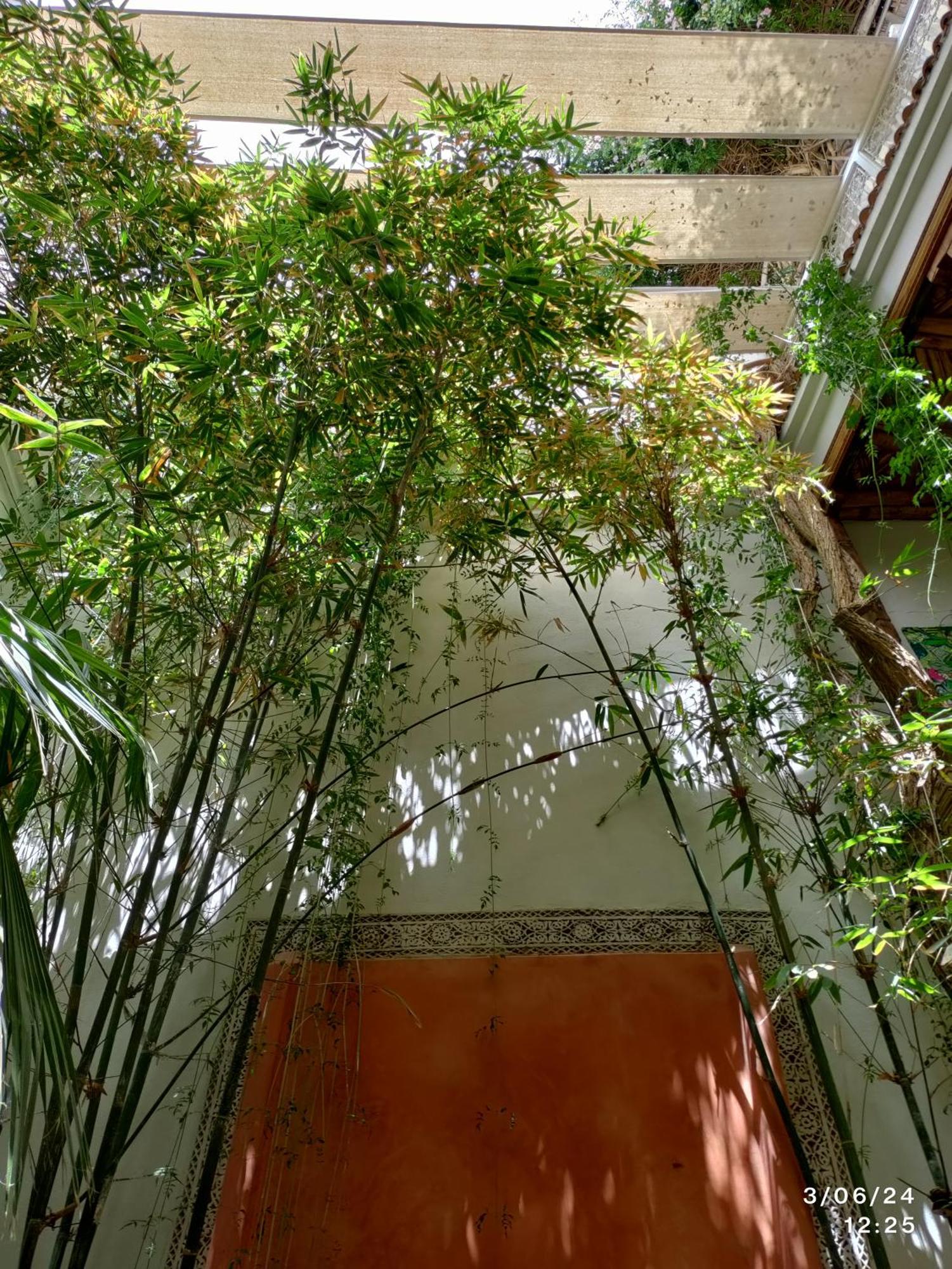 Apartmán Made In Berbere Marakéš Exteriér fotografie